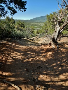 2 - 3.2 miles ATV trails and camping (3)