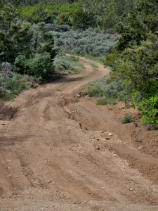 4 - 119 ATV Trail
